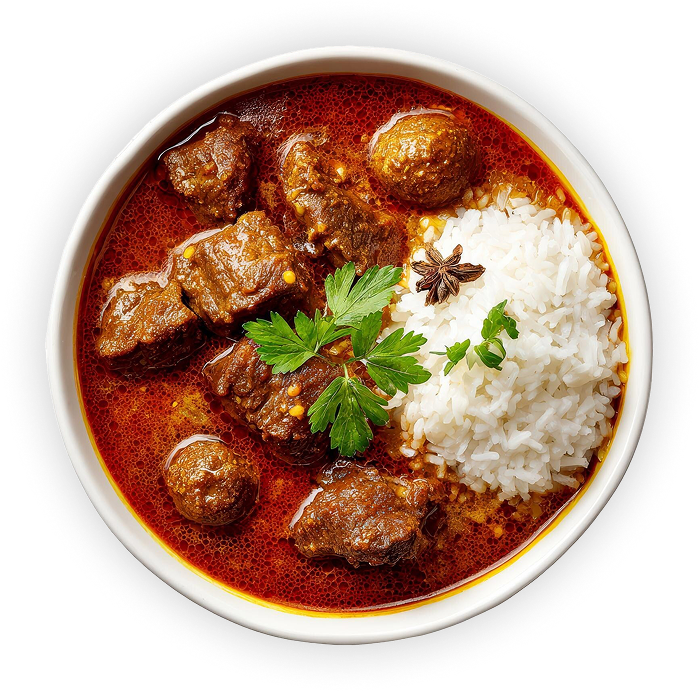 A bowl of beef stew with rice and a star anise